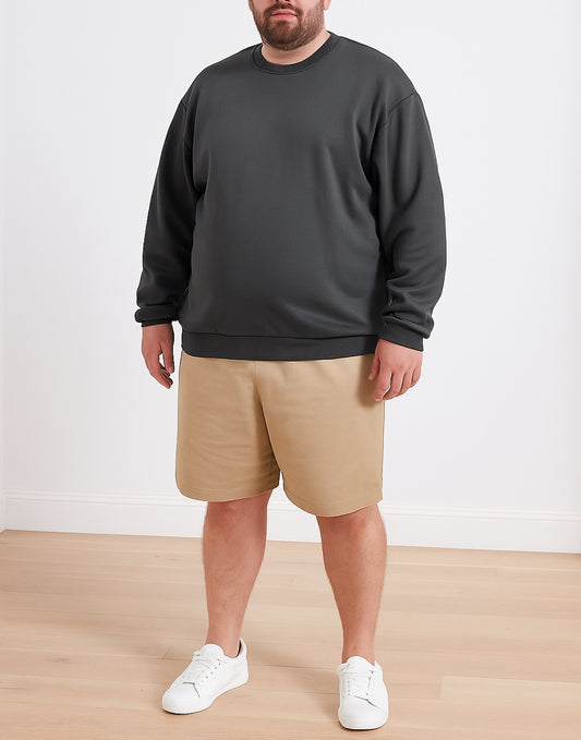 Front view of Plus Size Mens Classic Sweatshirt.