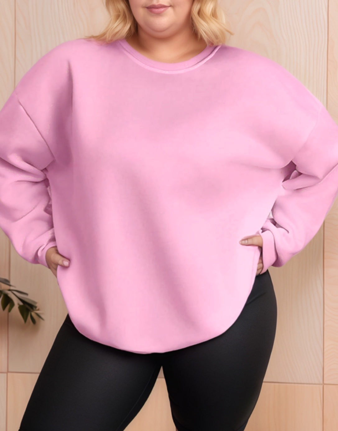 Front view of Plus Size Womens Sweatshirt.