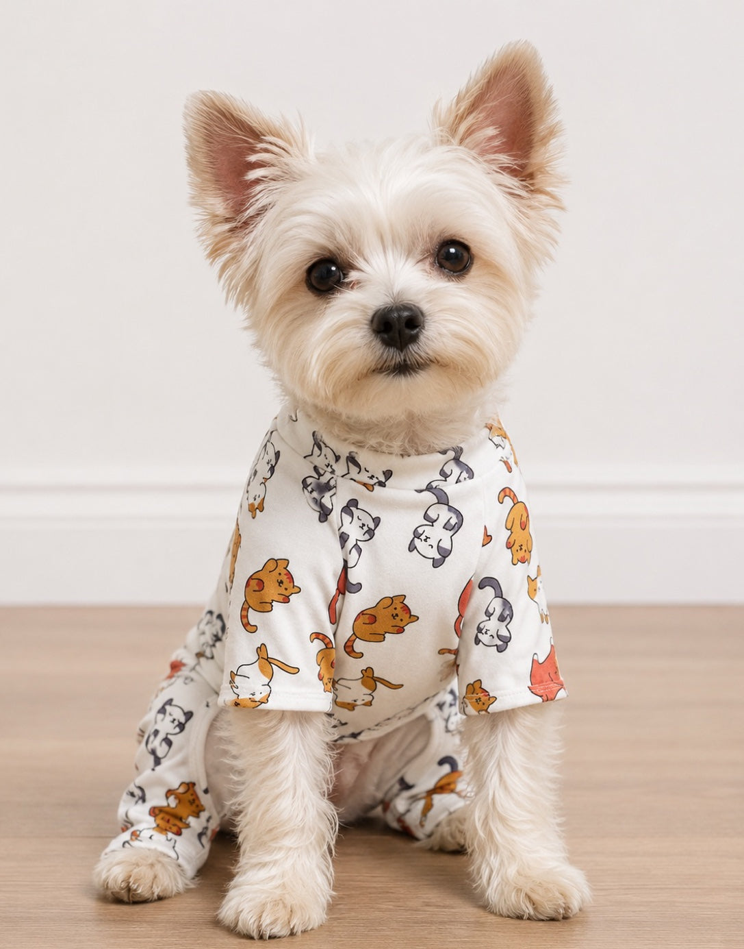 A small white dog wearing a short-sleeve one-piece pajama top with a playful cat print, sitting on a light wood floor against a plain off-white wall.