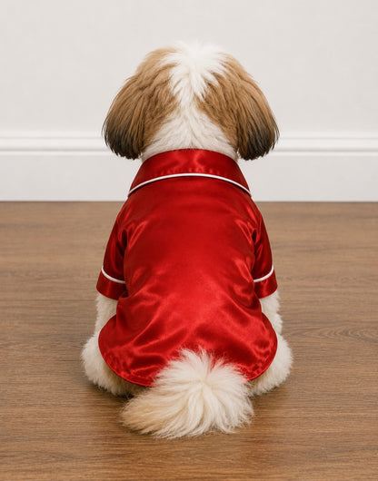 Back view of a small fluffy dog wearing shiny red Pajama Shirt with white trim, sitting on a wooden floor against a plain light wall.