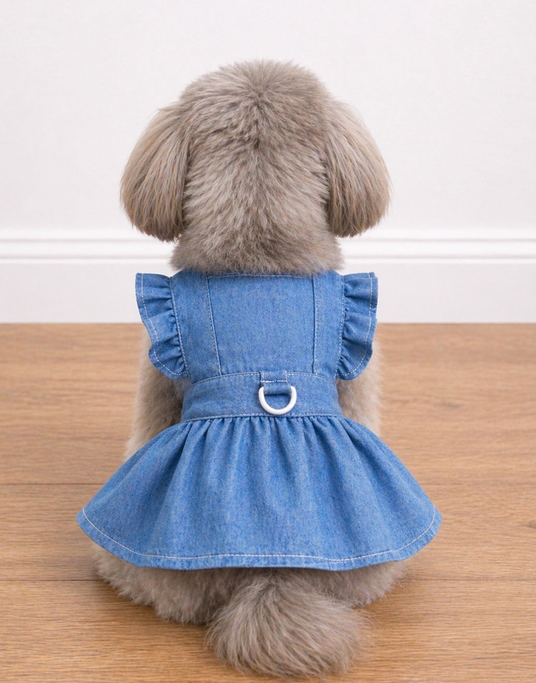 Back view of small dog wearing a blue denim dress sitting on a wooden floor.