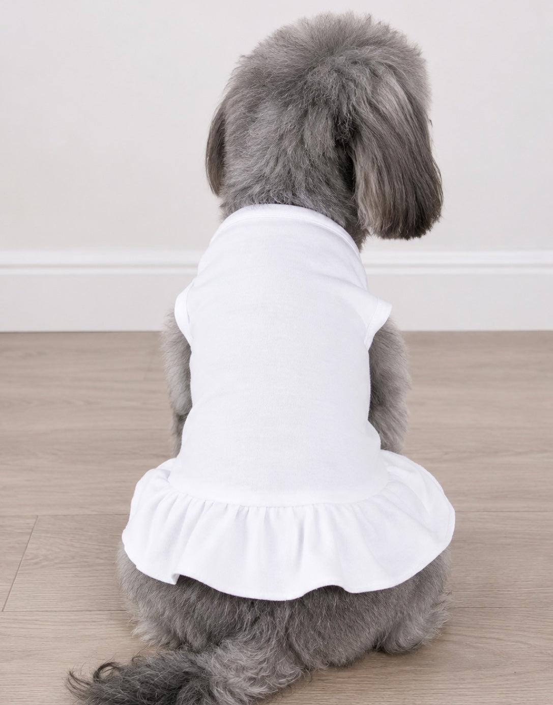 A gray dog seen from behind wearing a white t-shirt dress with a ruffled hem, sitting on a light wood floor against a white wall.