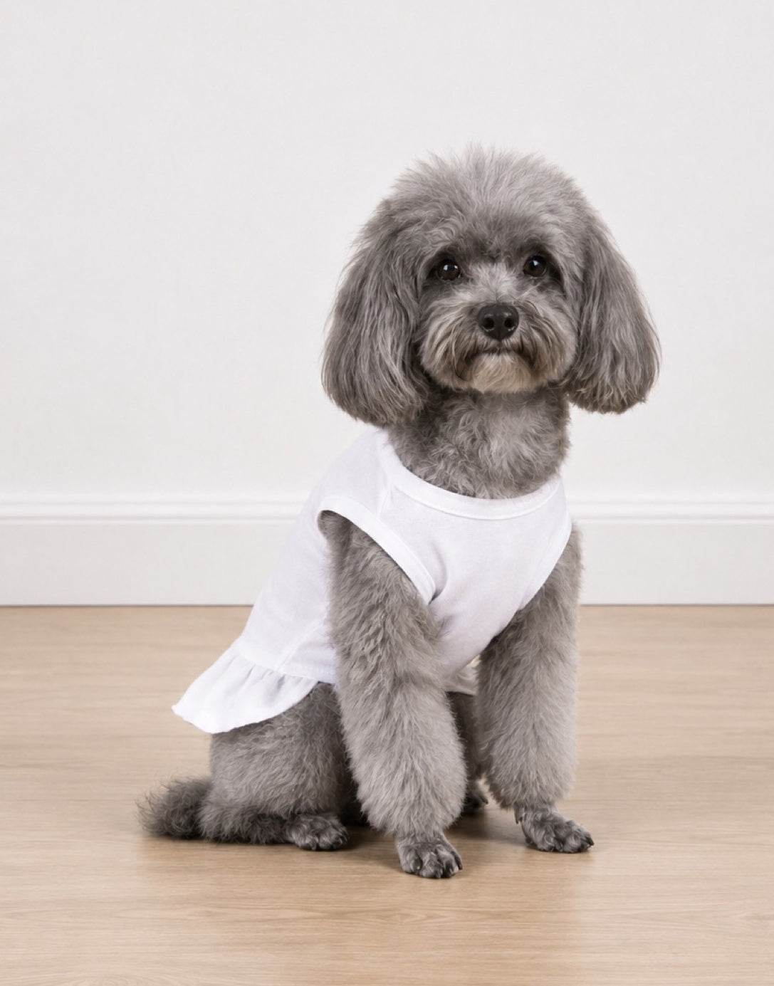 A gray poodle wearing a white ruffled tee shirt dress sits on a light wood floor against a white wall.
