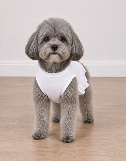 A small gray dog standing on a light wood floor against a plain off-white wall, wearing a white tee shirt with ruffles.