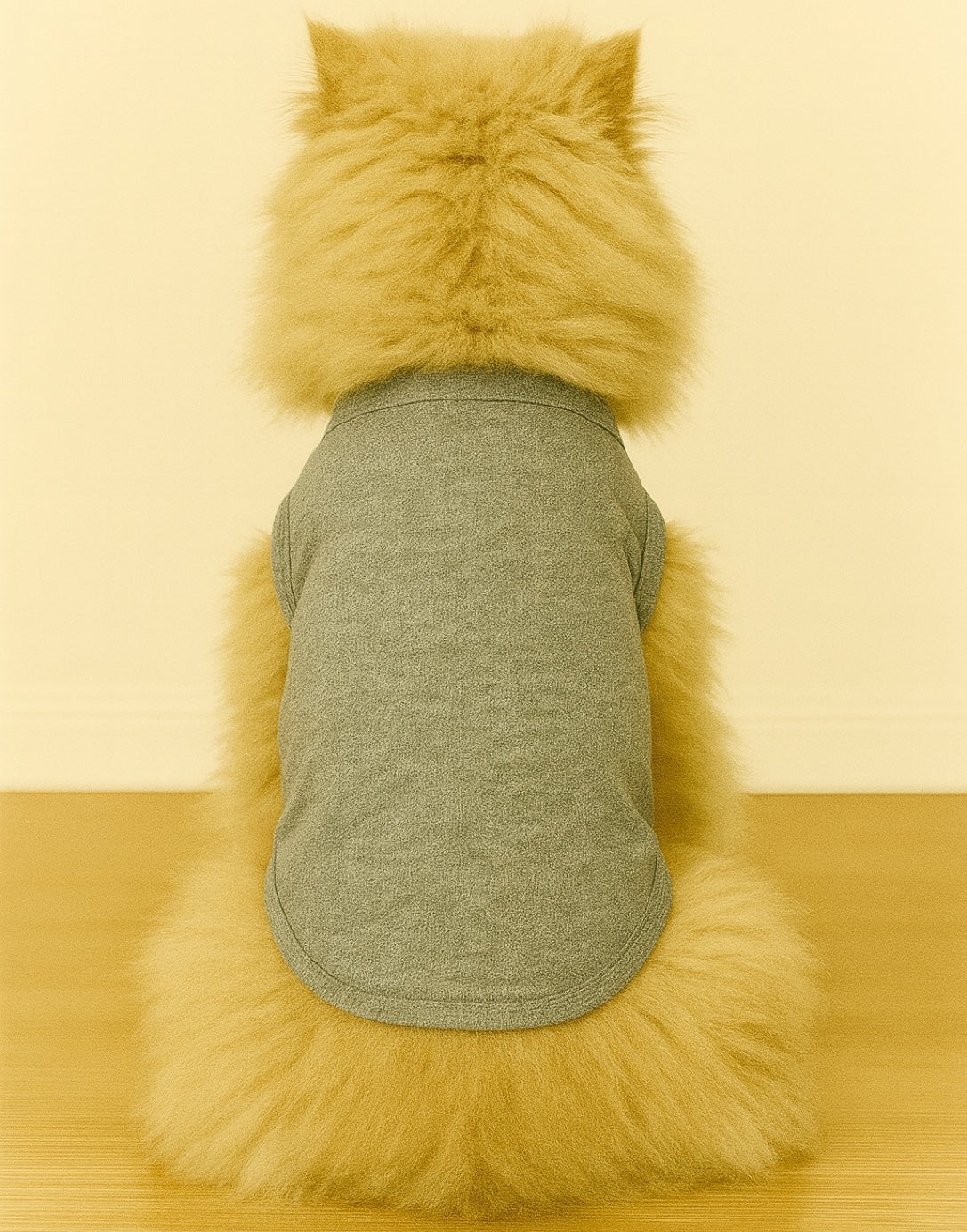 Back view of cat wearing a gray knit shirt sitting on a wooden floor with a yellowish wall background
