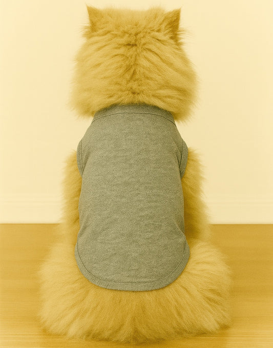 Back view of cat wearing a gray knit shirt sitting on a wooden floor with a yellowish wall background