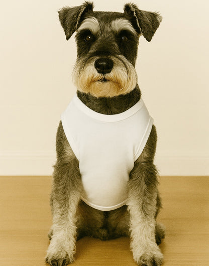 Dog wearing a white knit tank top sitting on a wooden floor with a beige wall background