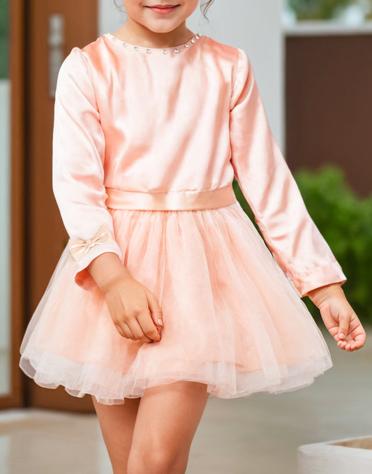 Front view of Girls Long Sleeve Princess Tulle Party Dress.